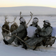 Illustration for article titled Russian Soldiers Go Native For Arctic Ops Using Reindeer And Dogsleds